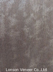 Gedampftes Furnier-Blatt ISO9001 der Tür-Blatt Makore-Furnierholz-Farbe603 Medium