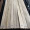 120cm schnitt weißes Furnierholz ausgeführtes Gebrauchs-Viertel 12% Feuchtigkeit